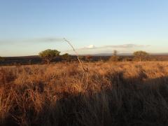 Mkhaya Game Reserve – October 18, 2014